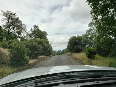 20190520_105438 (Large).jpg